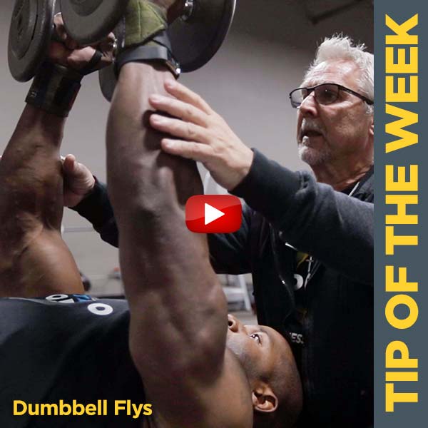 Coach Kim Oddo Building The Chest with Dumbbell Flys